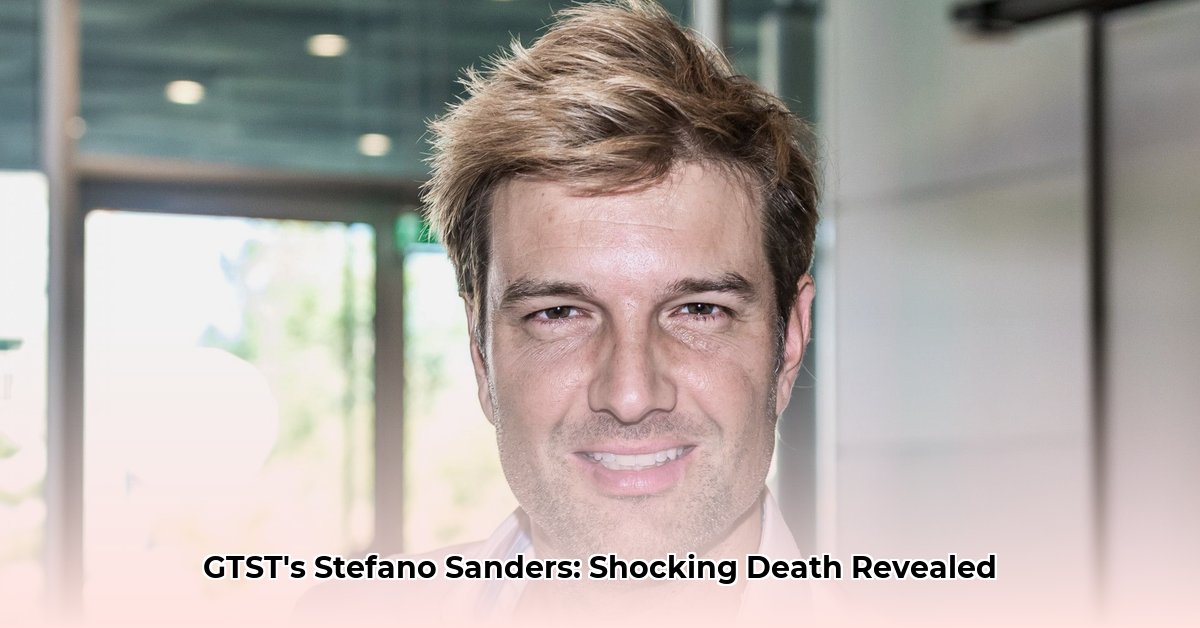 stefano-sanders-dood